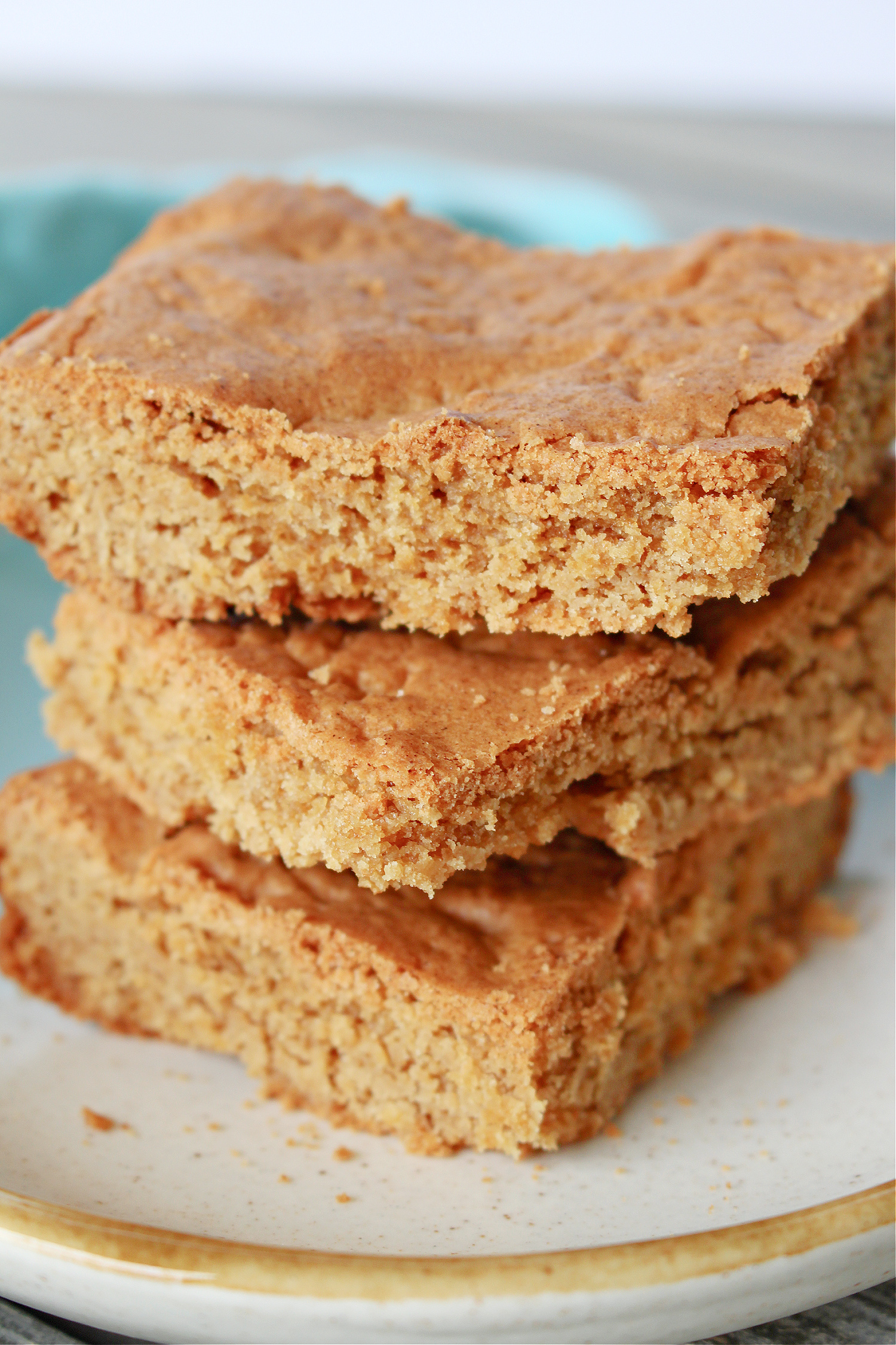 Chewy Blondie Recipe
