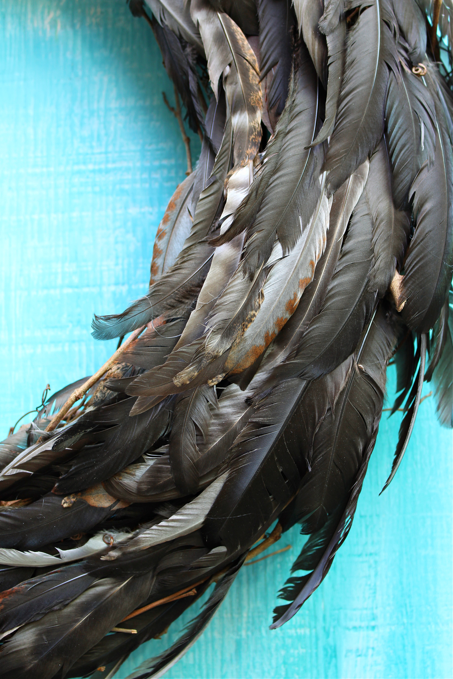 DIY Feather Wreath (Using Feathers My Chickens Molted)