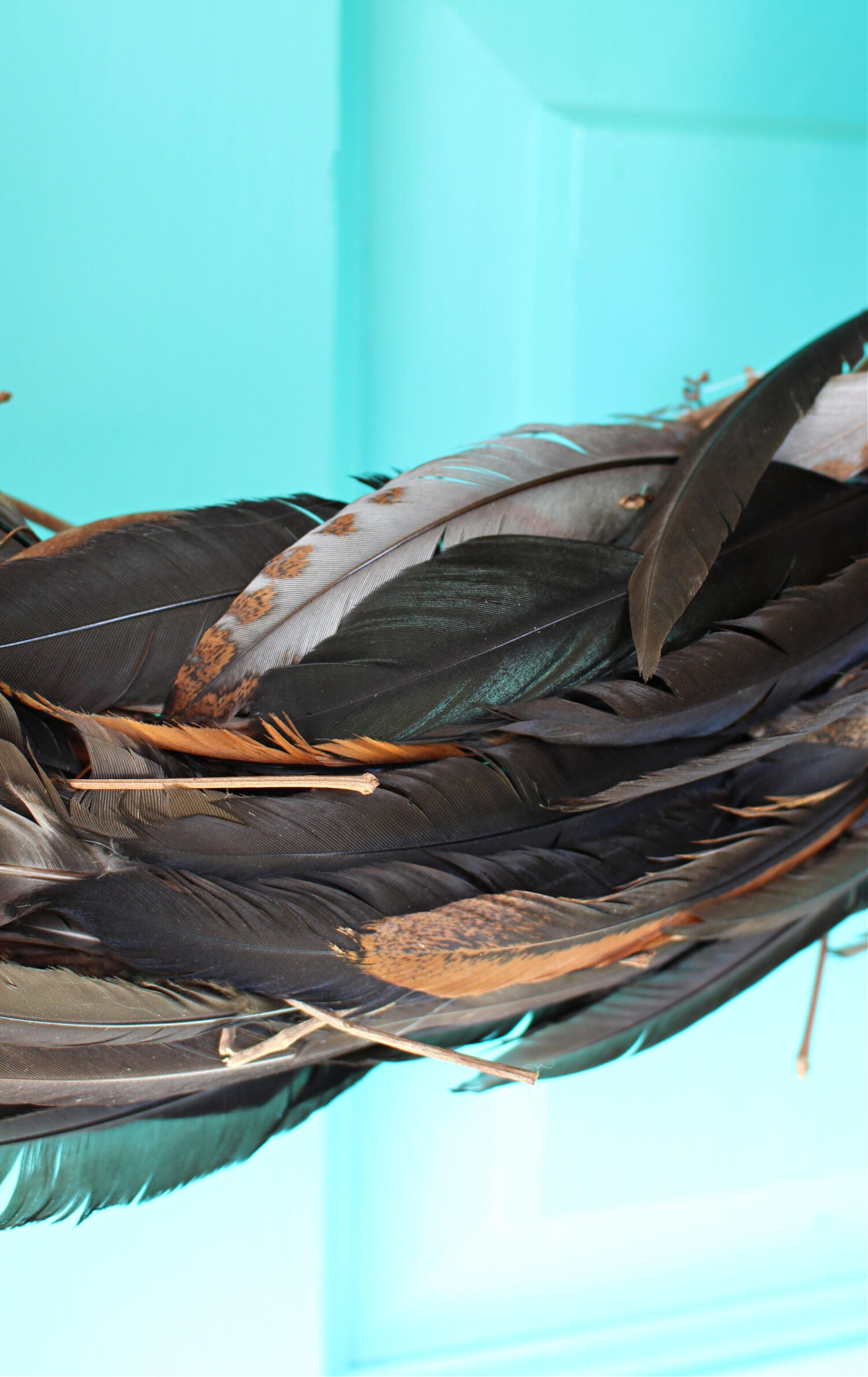 Crafts with Chicken Feathers