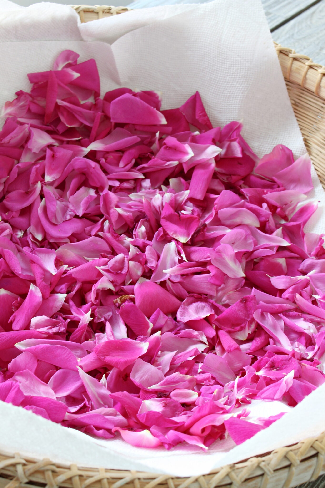 DIY Rose Petal Salve + DIY Rose Lip Balm (Rose Petal Infused Oil ...