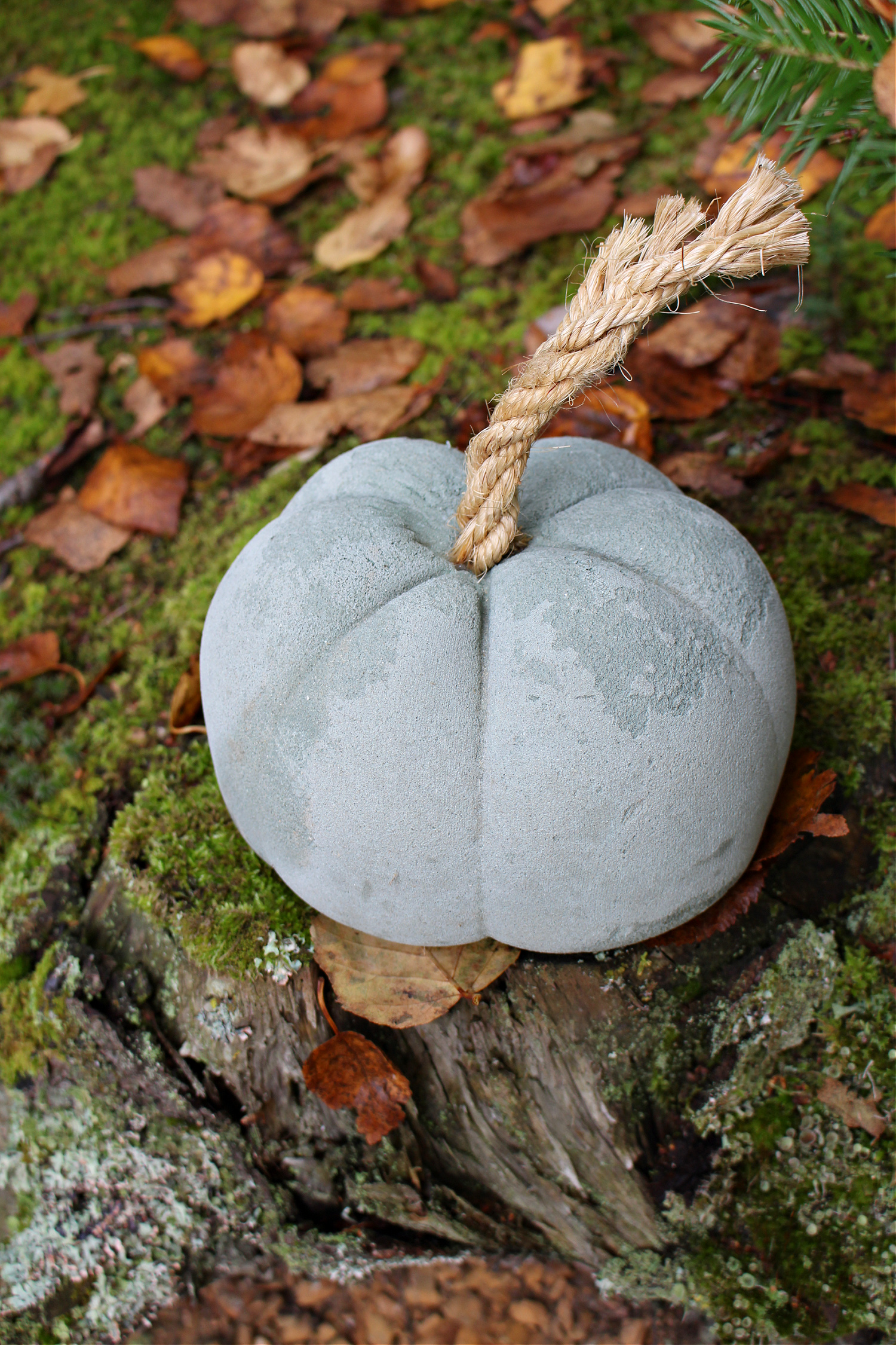 Dyed Concrete Pumpkins
