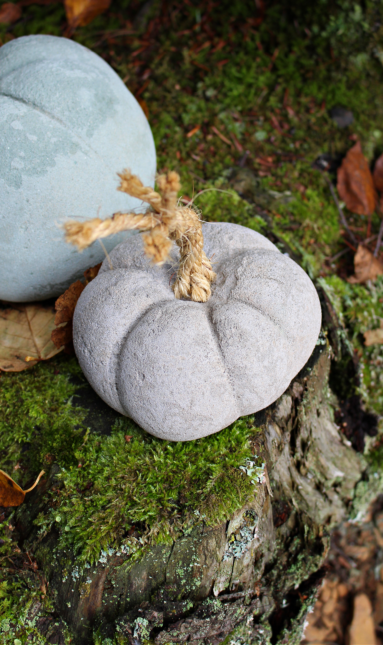 DIY Concrete Pumpkins for Fall Decor