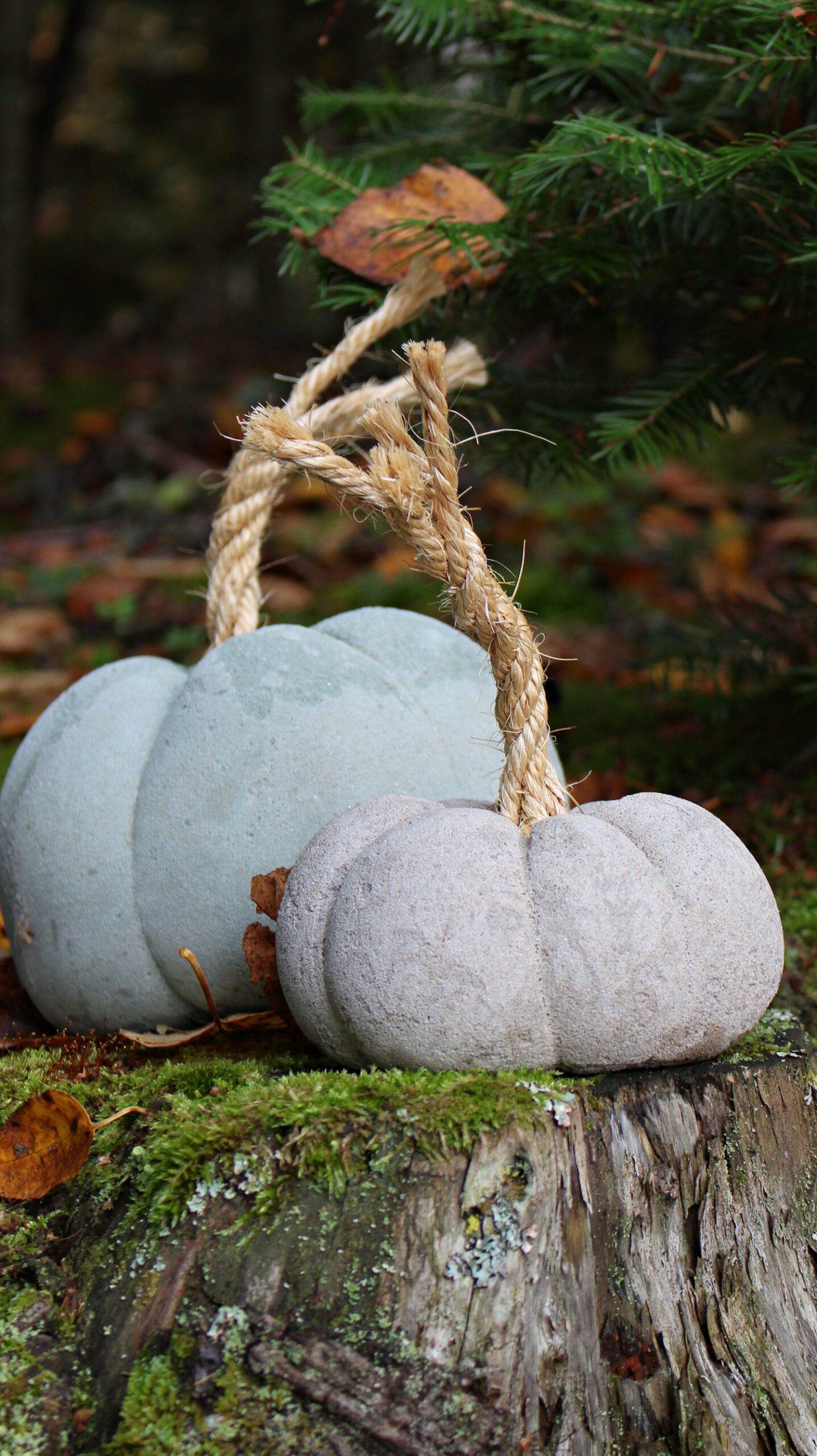 DIY Concrete Home Decor