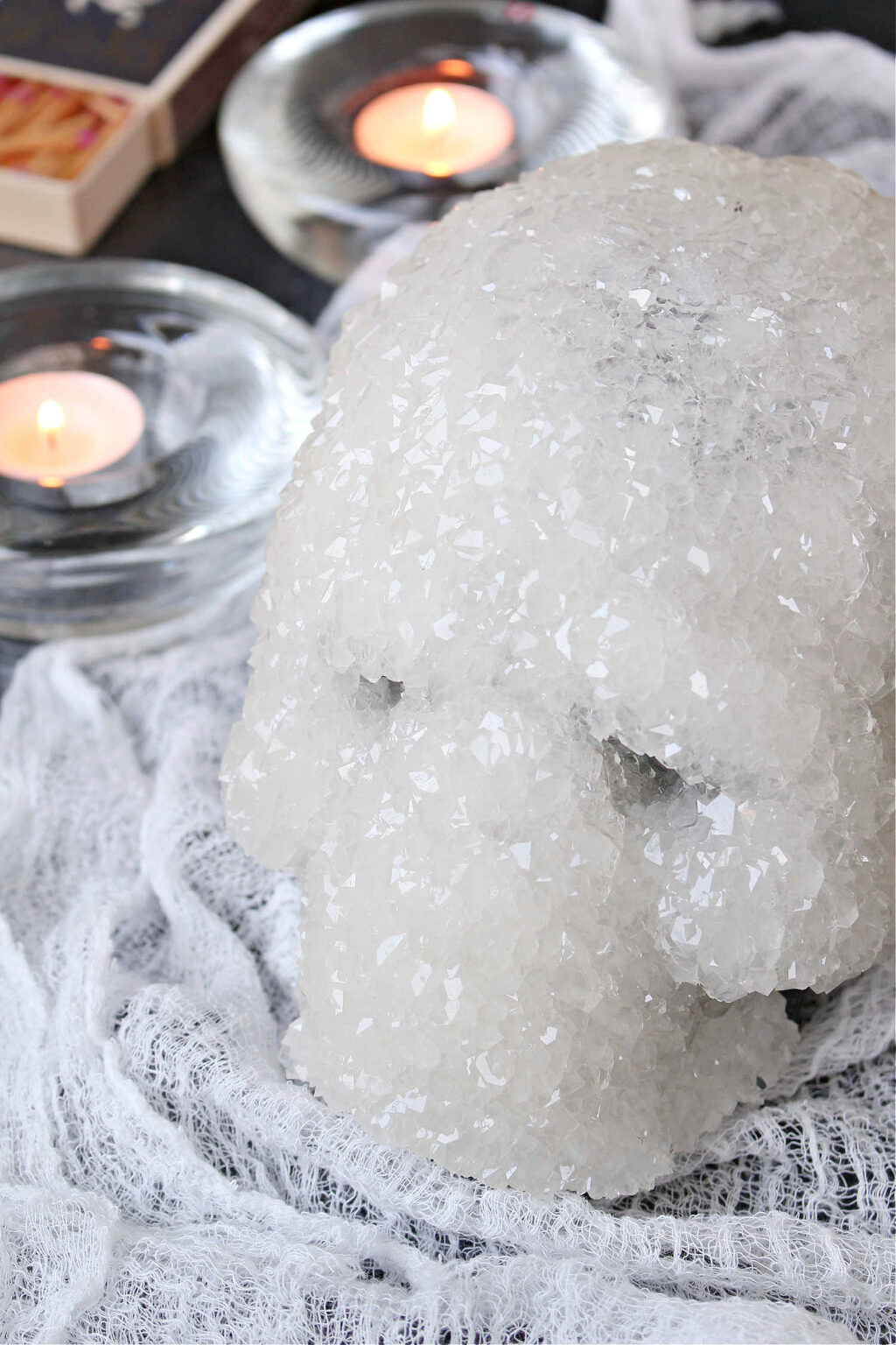 Diy Borax Crystal Skull Tutorial Dans Le Lakehouse