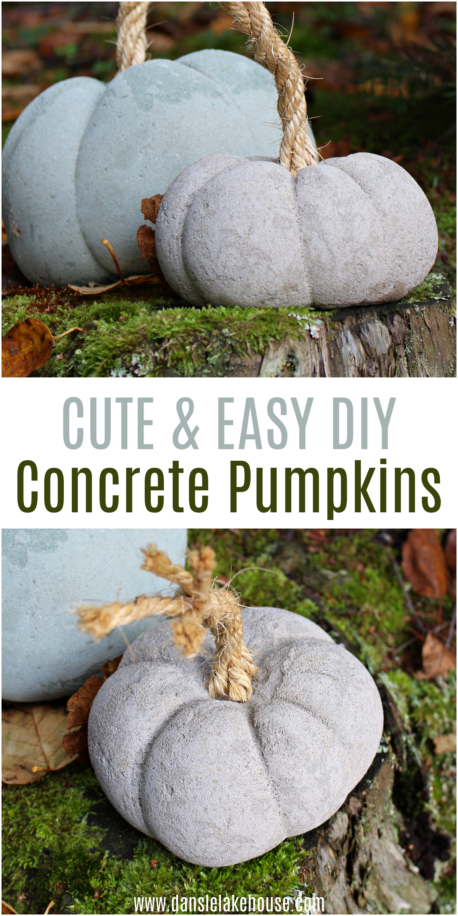 Learn How to Make DIY Concrete Pumpkins