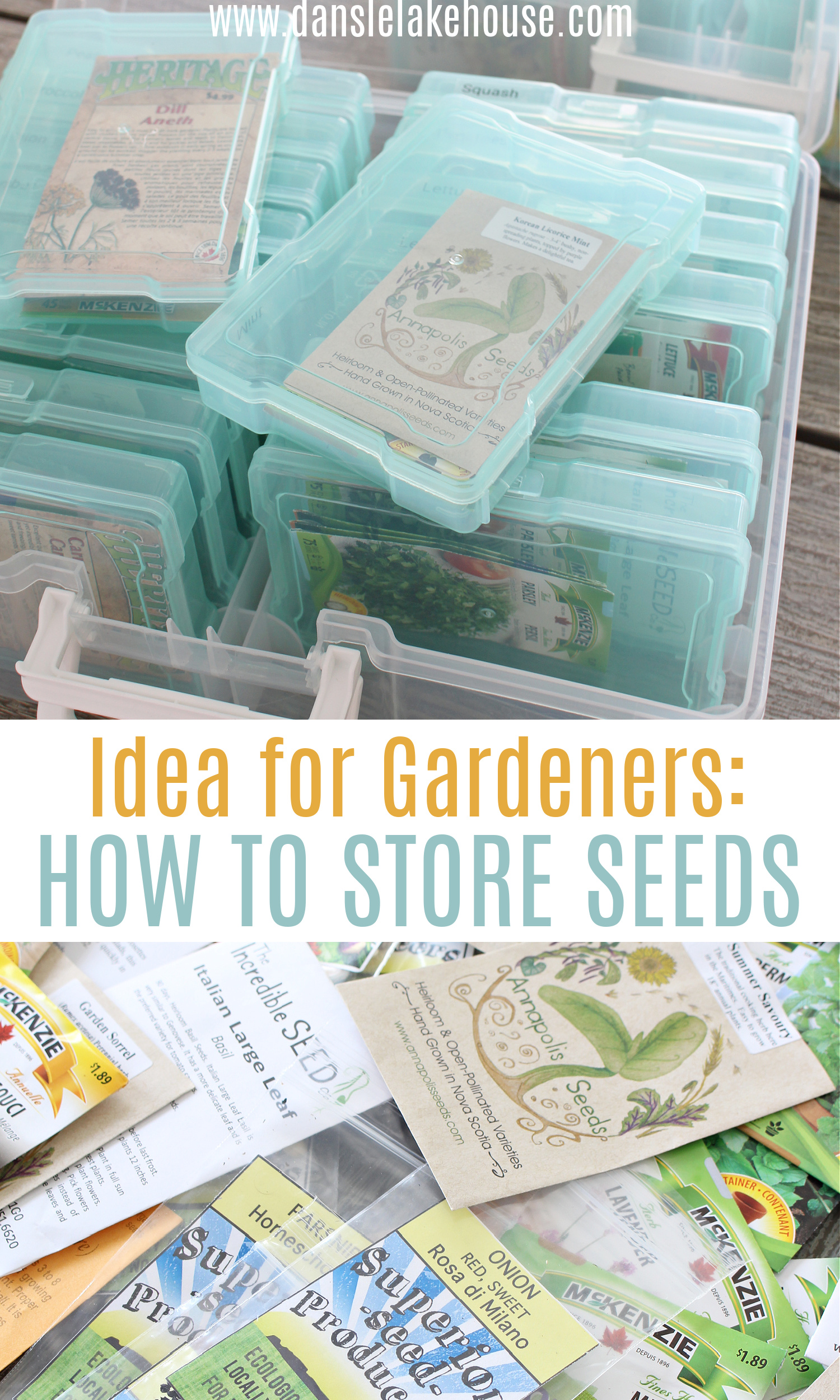 How to Store Seeds
