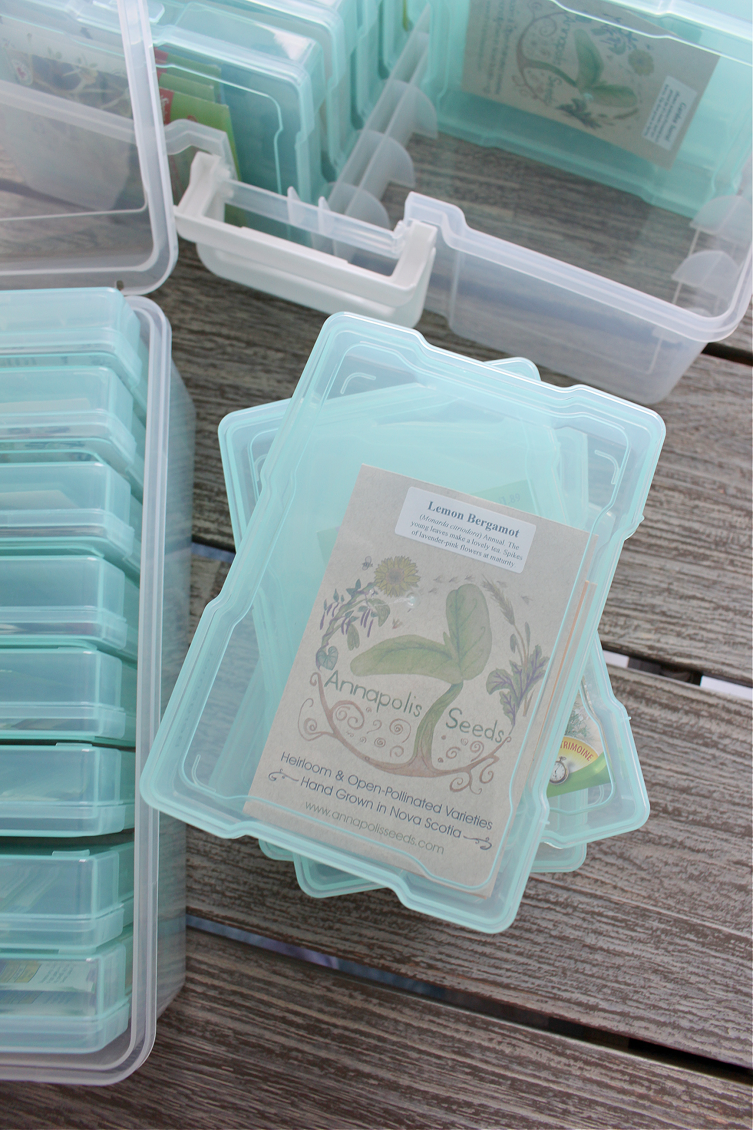 How to Store Seeds for Winter