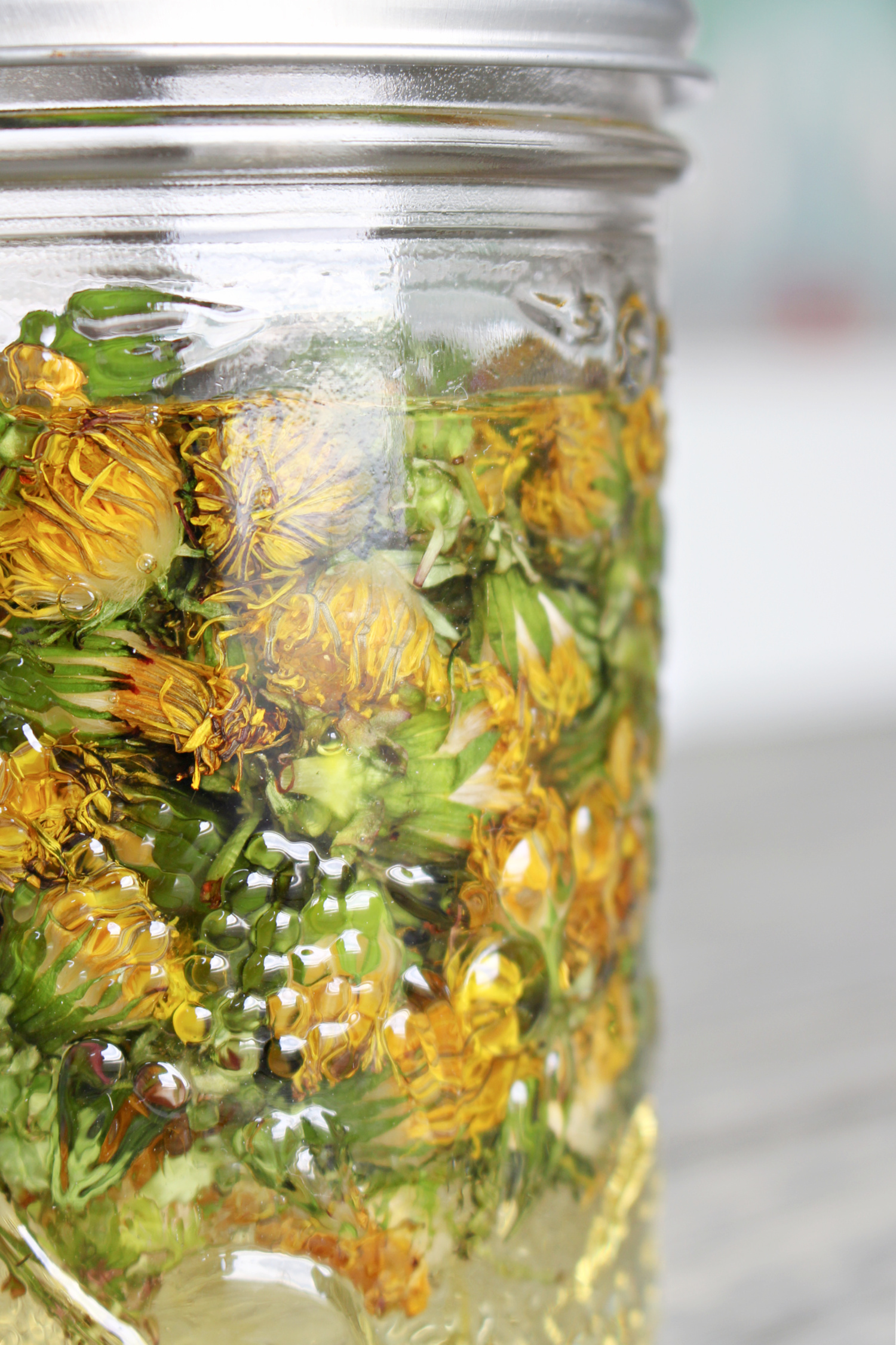 How to Make Dandelion Infused Oil 