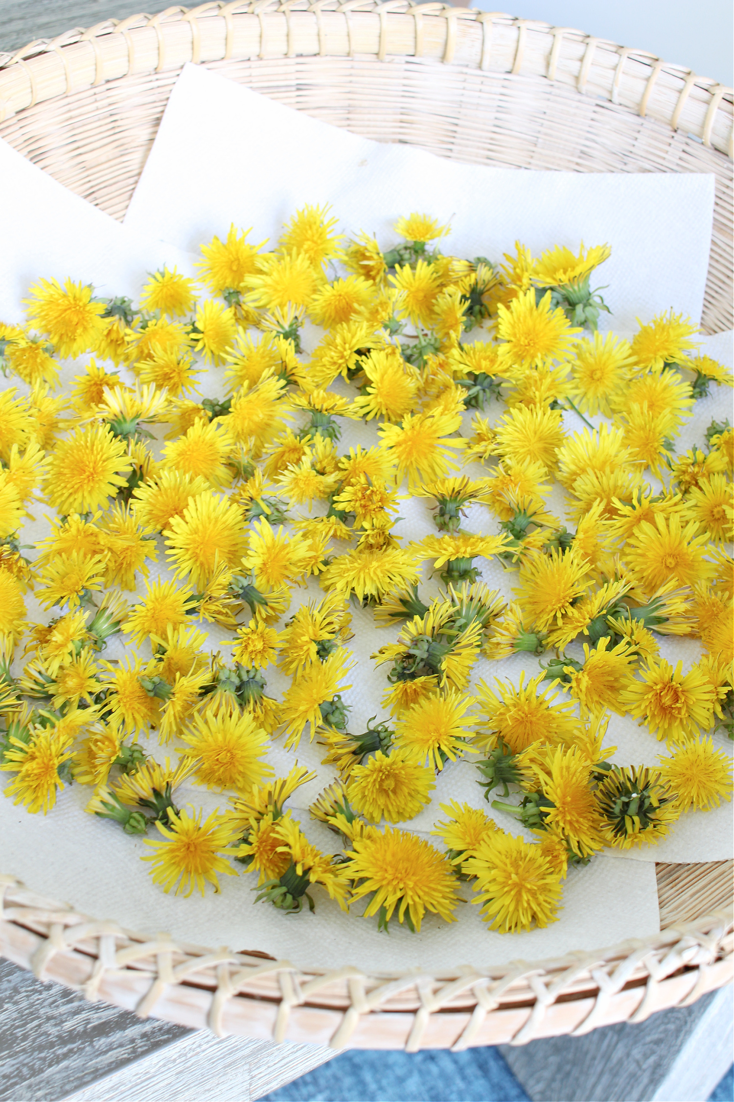 Dried Dandelion Flowers