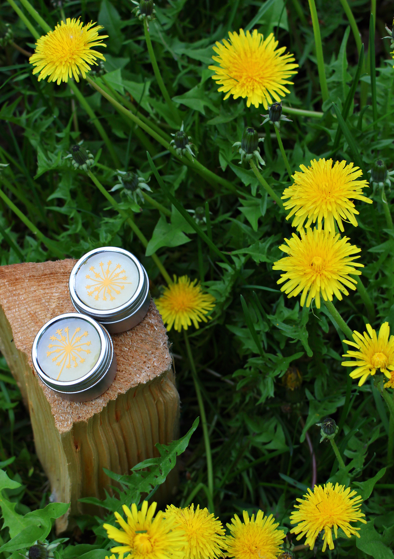 DIY Dandelion Skin Care