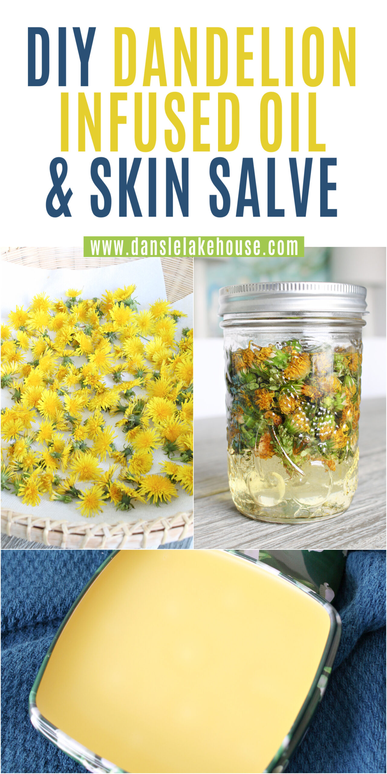 DIY Dandelion Infused Oil Skin Salve and Lip Salve