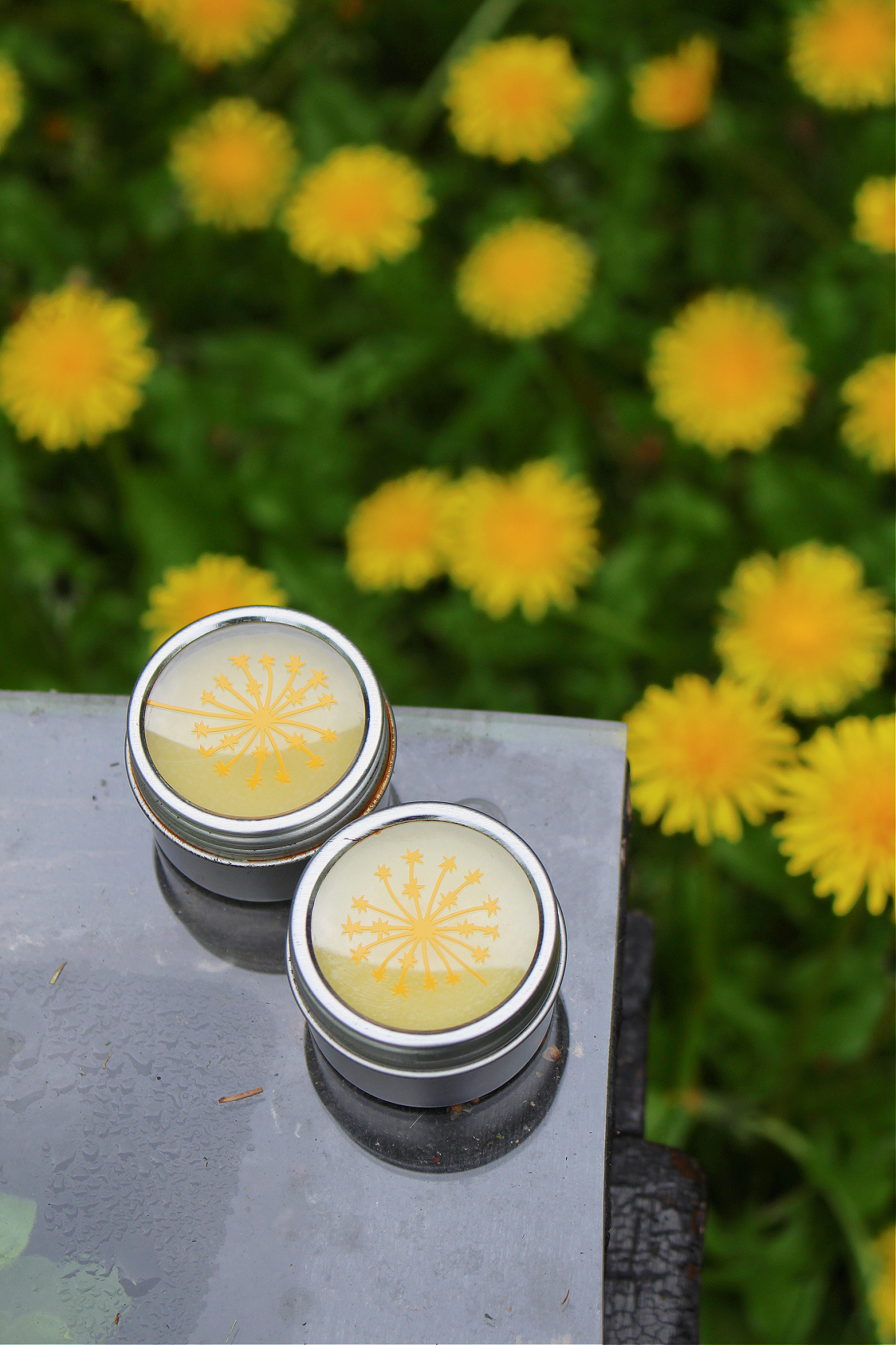 Dandelion Oil Skin Care DIY