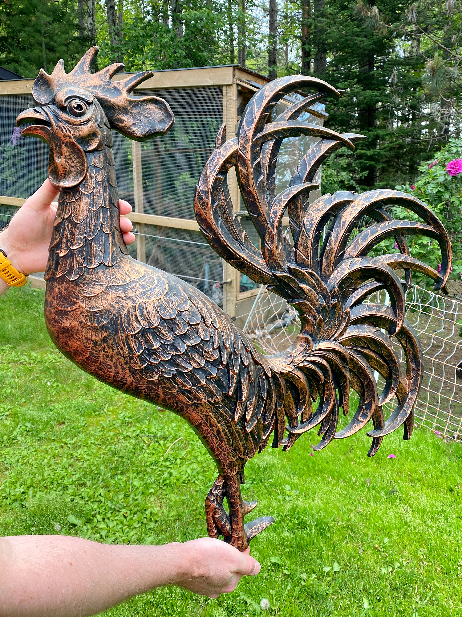 Syroco Chicken Wall Art