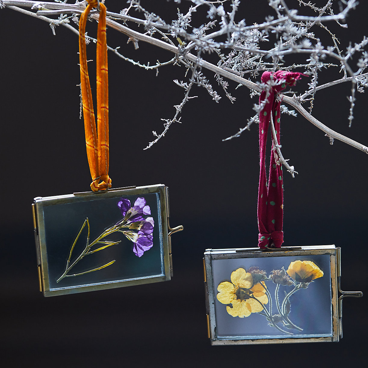 Pressed Flower Tree Ornaments