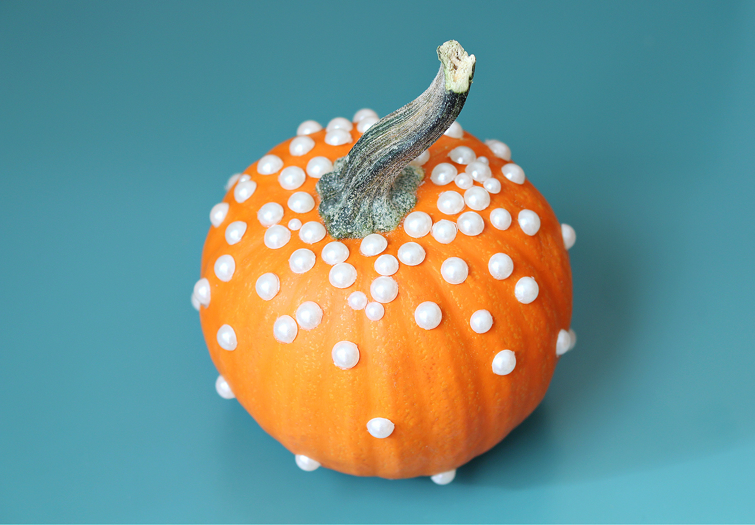 pearl pumpkin