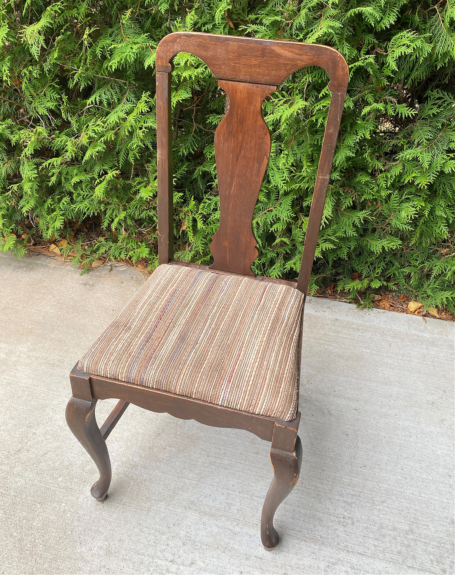 Chair Found in the Trash