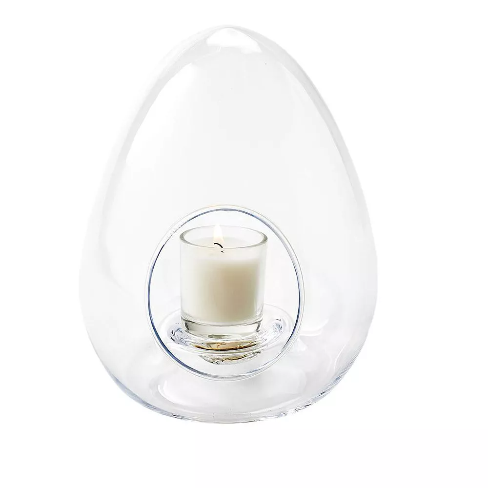 Egg Shaped Terrarium