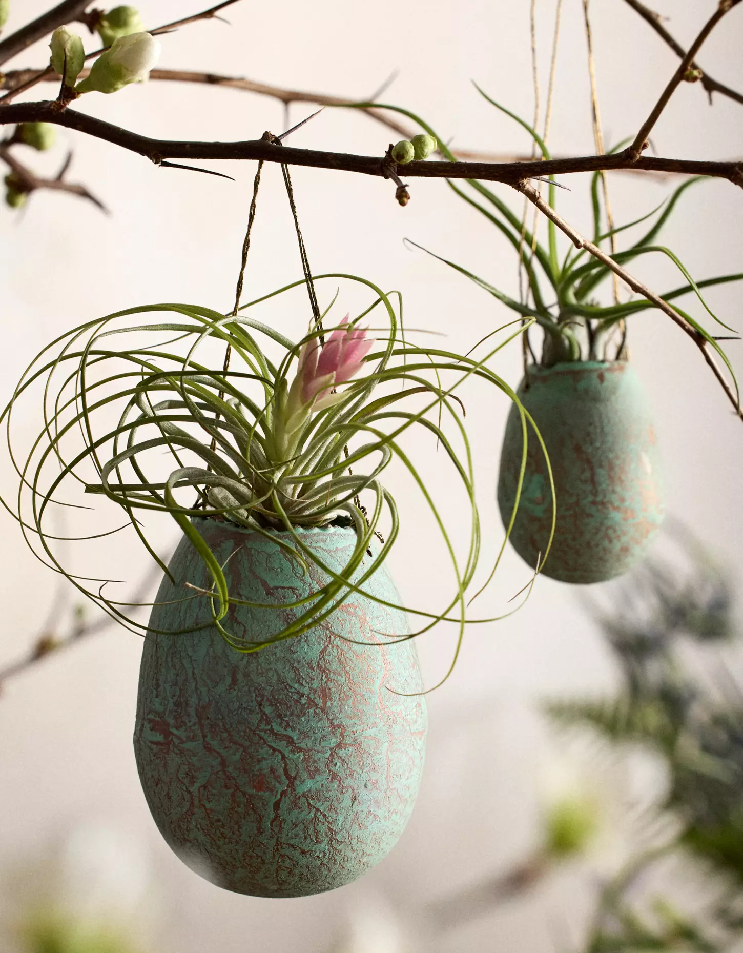 Egg Shaped Hanging Planters for Spring