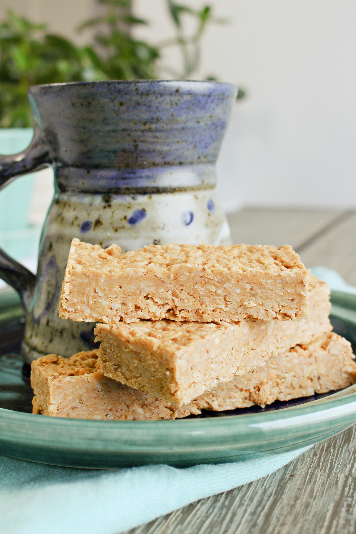 Oatmeal Bars with Protein Powder