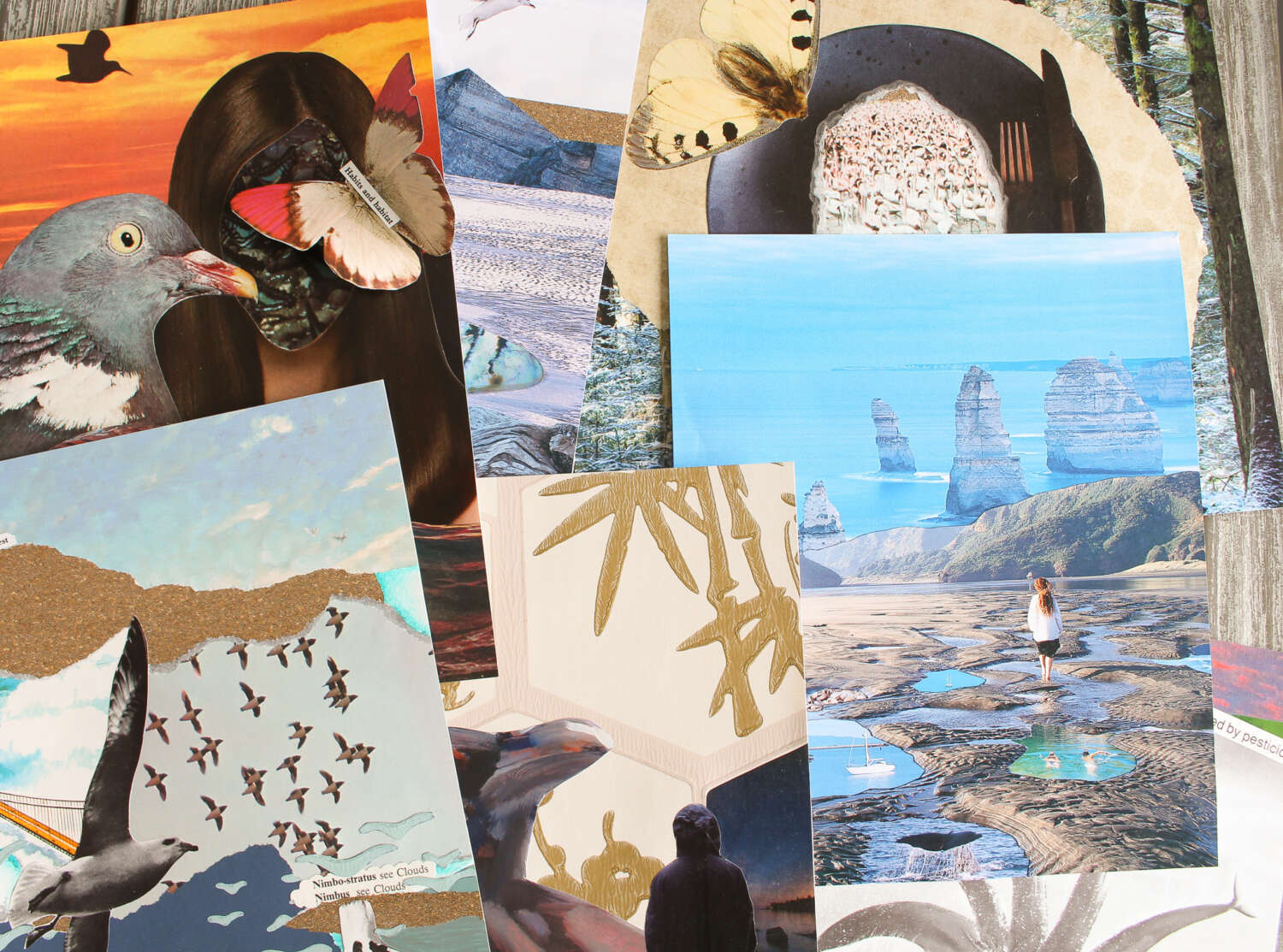 Beginner Collage Examples