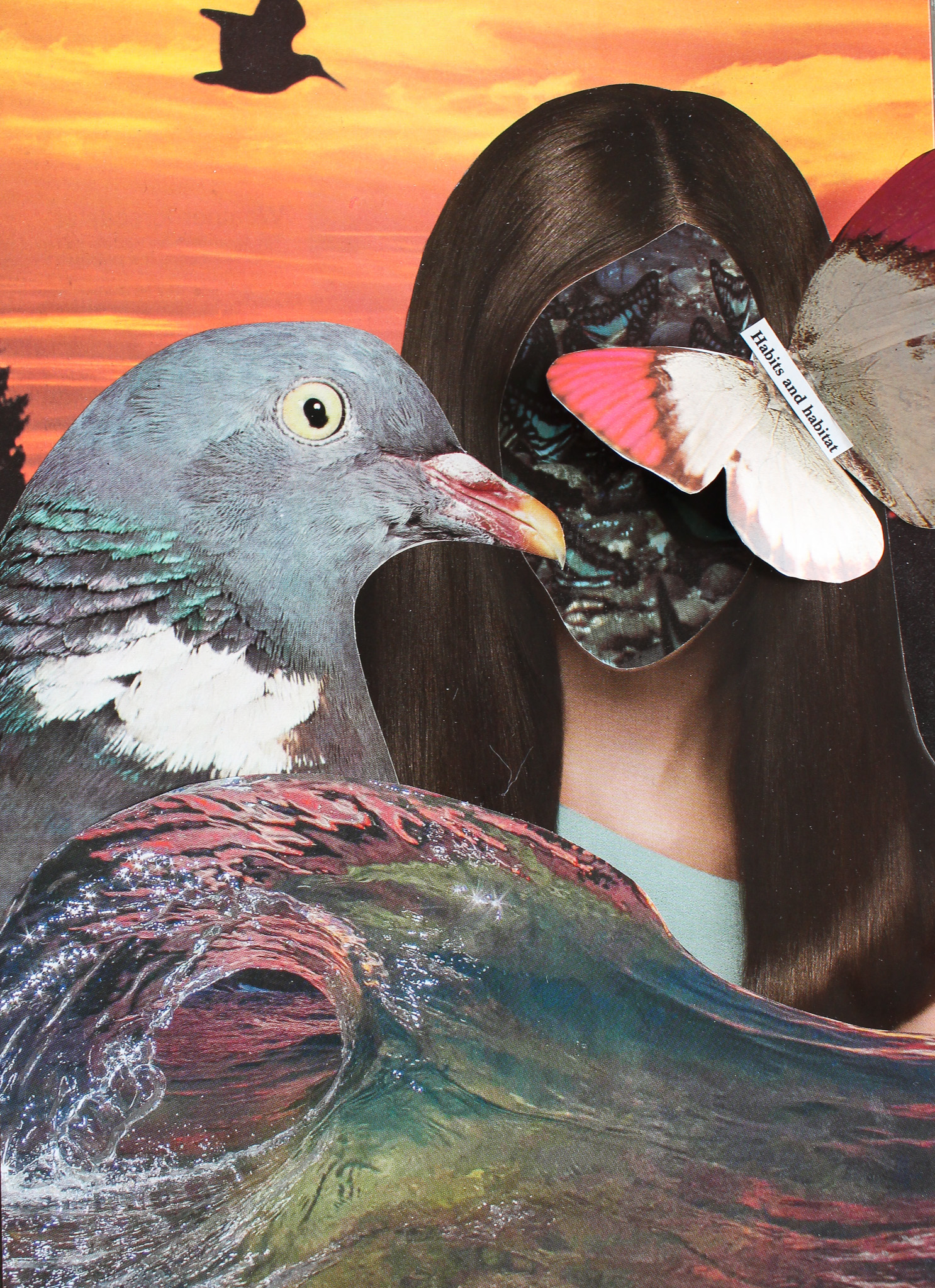 Reveal/Replace Collage Example