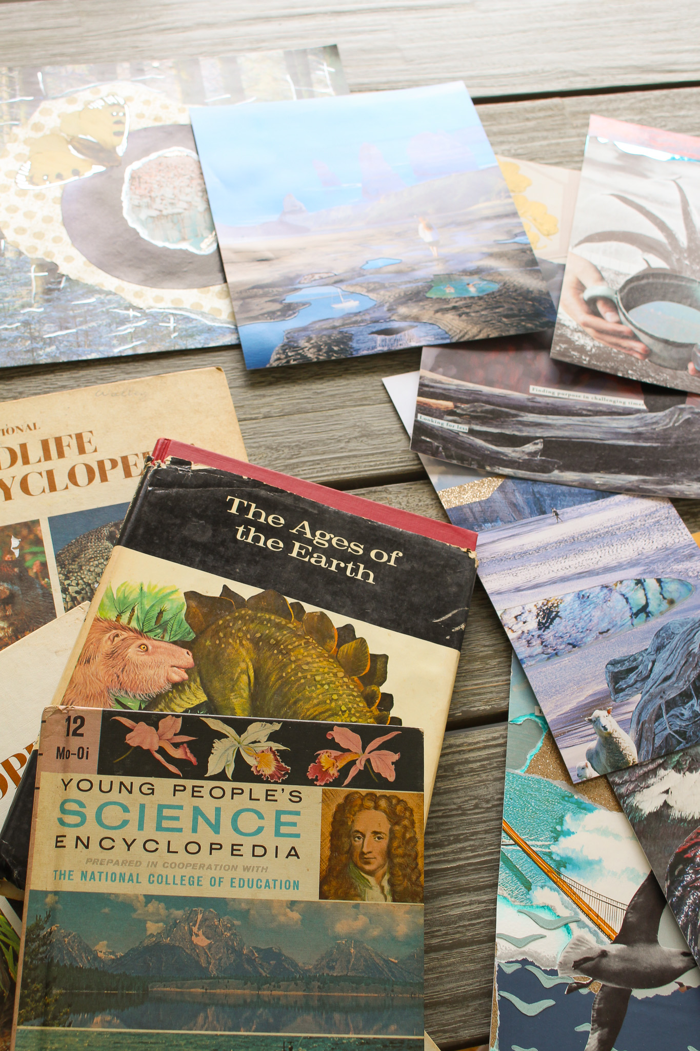 What to do with old books?