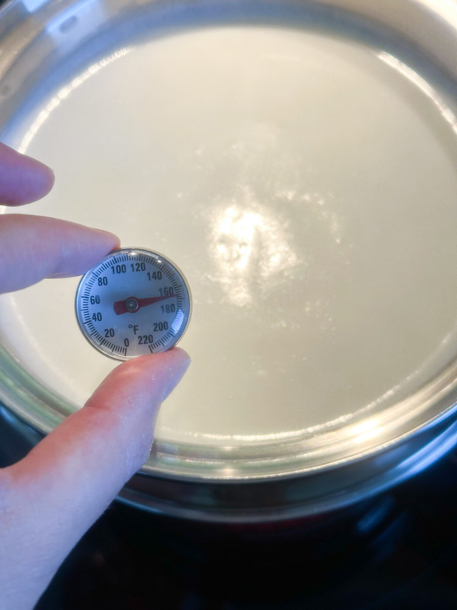 How to Pasteurize Milk at Home